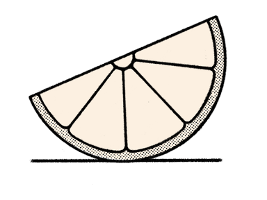Lemon slice illustration